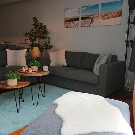 Studio Direct Aan Het Hoofdstrand Van - Naast Casino * Ostende